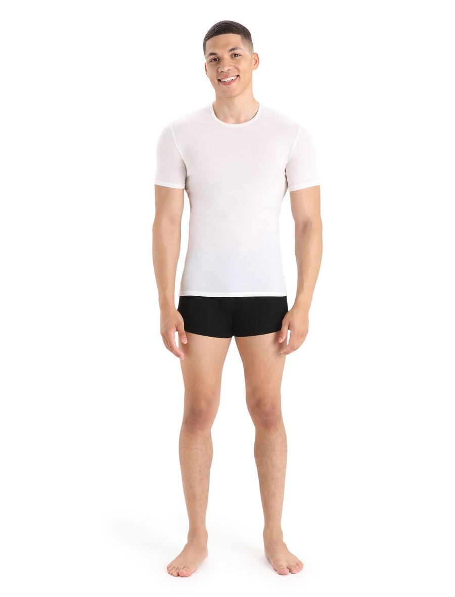 Men's Icebreaker Merino Anatomica Short Sleeve Crewe T-Shirt Underwear Snow | CA 1647UZGT